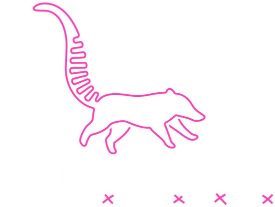 COATI photo 2