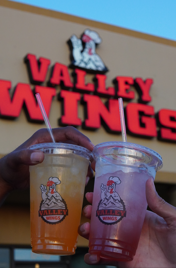 Valley Wings photo 2