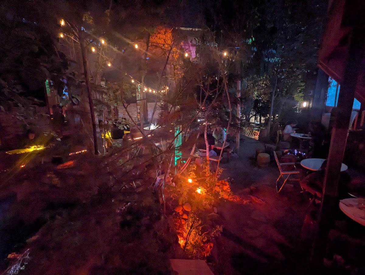 Forest Room 5 photo 2