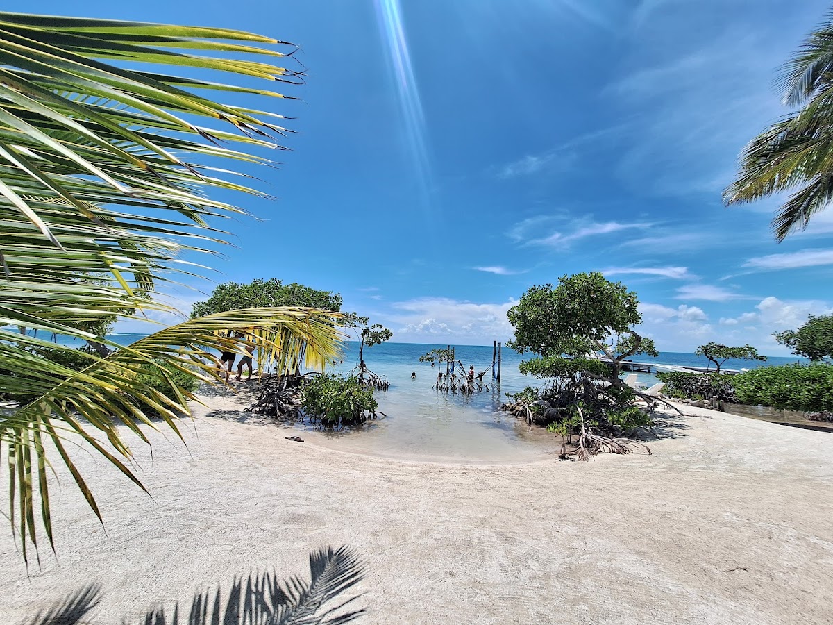 BC's Beach Bar photo 2