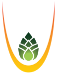 Gravity Brewing
