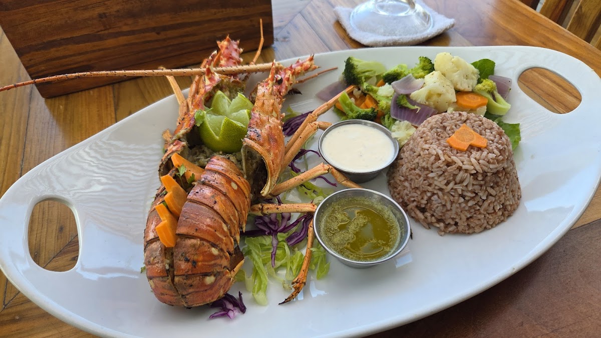 Sandy Toes Beach Bar and Grill photo 2