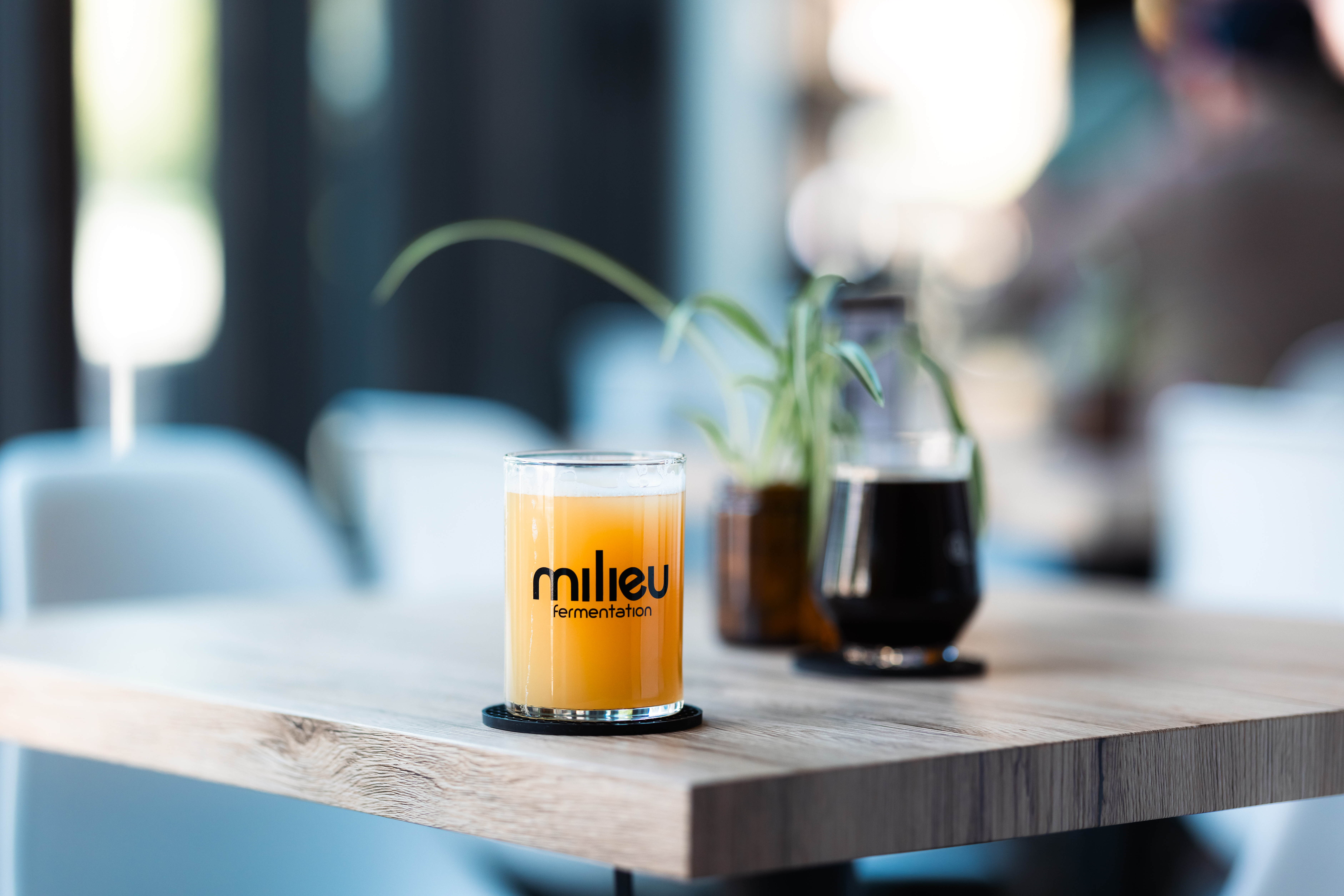 Milieu Fermentation photo 2