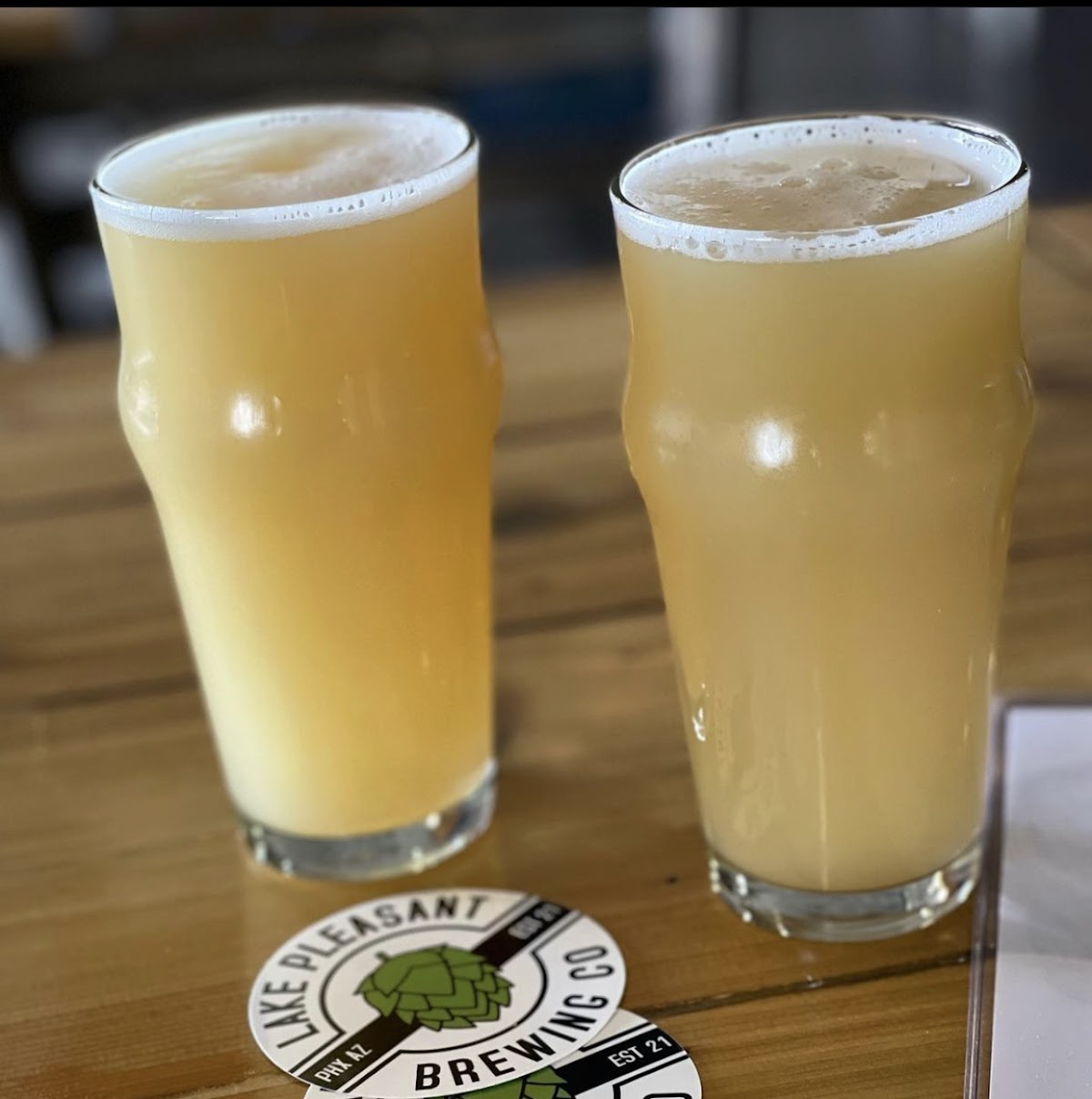 Lake Pleasant Brewing Company photo 3