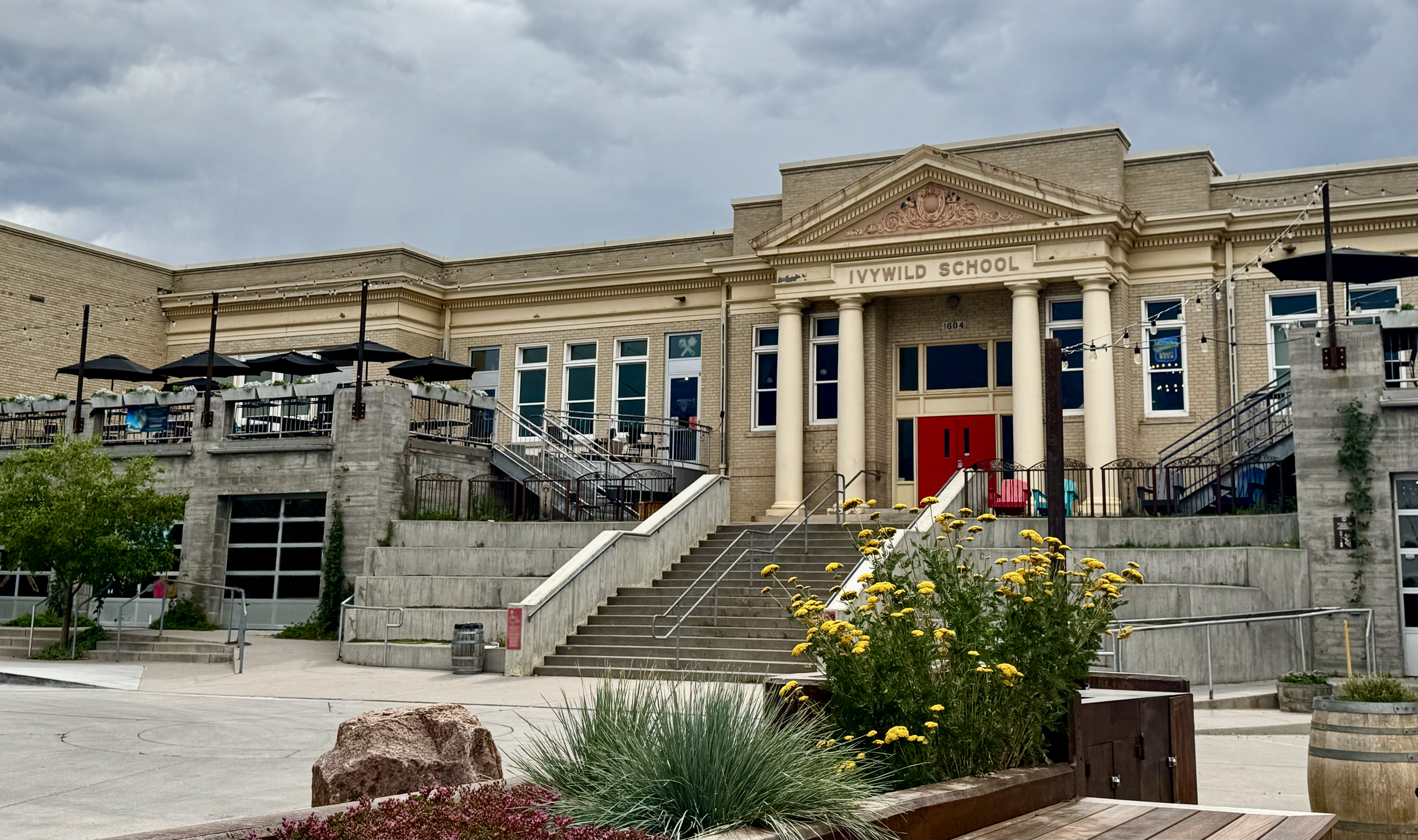 Ivywild School