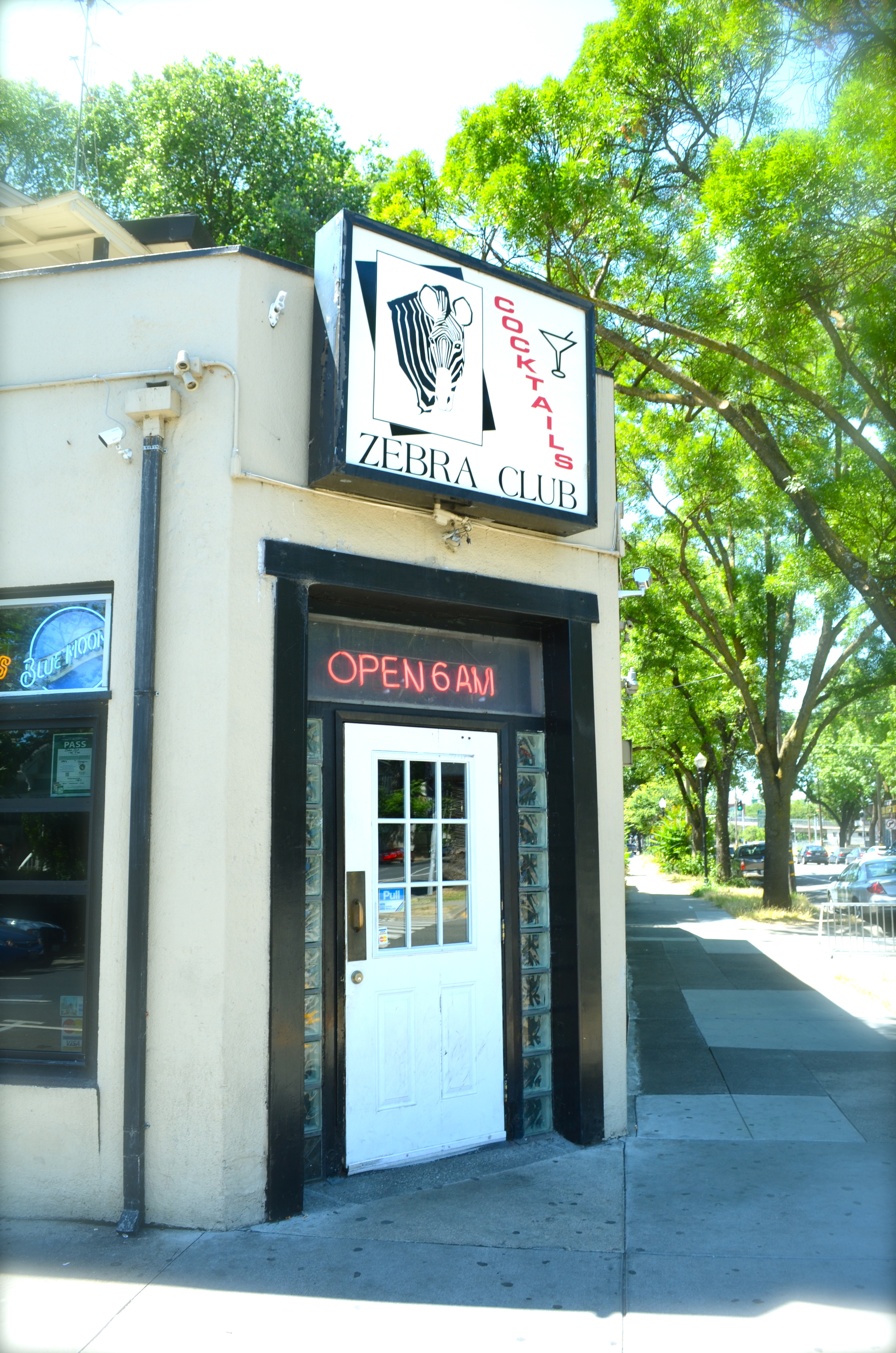 The Zebra Club photo 3