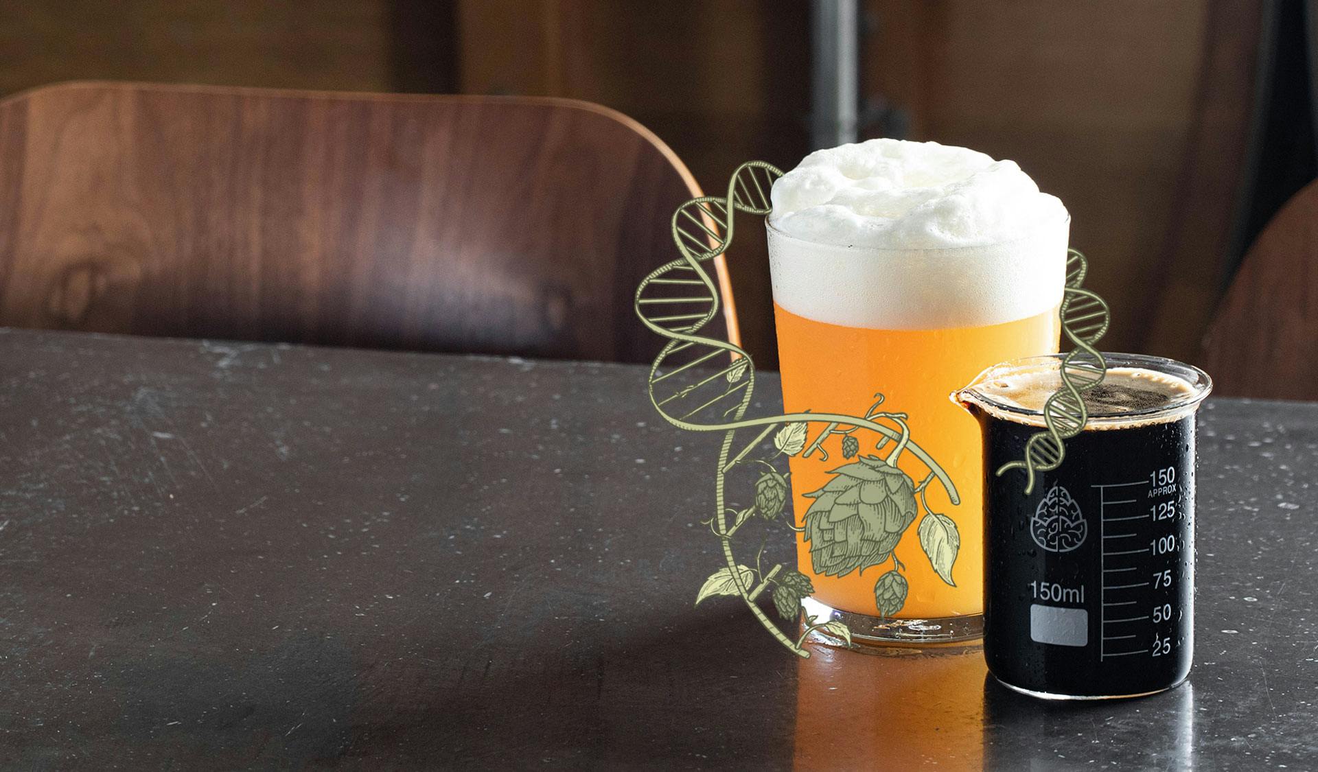 Cerebral Brewing - Aurora Arts