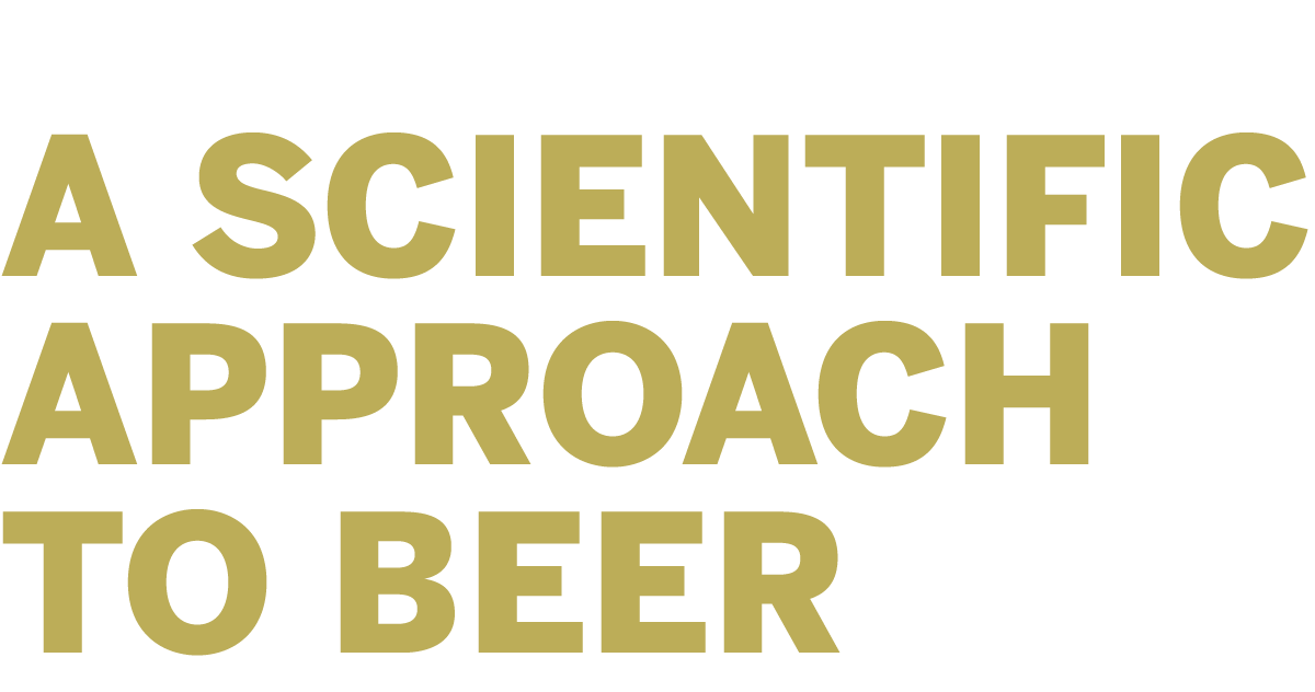 Cerebral Brewing - Aurora Arts photo 3