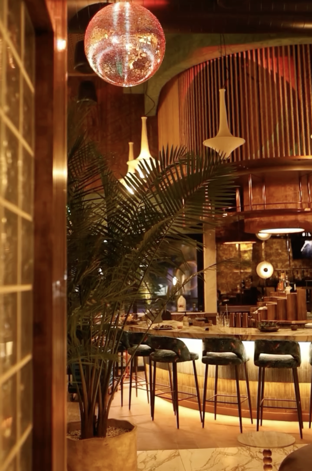 Habaneros Mexican Cantina (habanerosrestaurants.co) – Atlanta (Coming Soon) photo 2